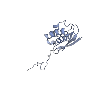 11517_6zxd_Q_v1-1
Cryo-EM structure of a late human pre-40S ribosomal subunit - State F1