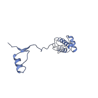 11517_6zxd_R_v1-1
Cryo-EM structure of a late human pre-40S ribosomal subunit - State F1