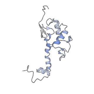 11517_6zxd_S_v1-1
Cryo-EM structure of a late human pre-40S ribosomal subunit - State F1