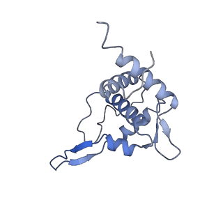 11517_6zxd_T_v1-1
Cryo-EM structure of a late human pre-40S ribosomal subunit - State F1