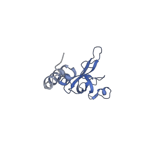 11517_6zxd_X_v1-1
Cryo-EM structure of a late human pre-40S ribosomal subunit - State F1
