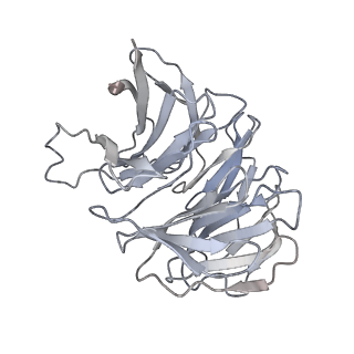 11517_6zxd_g_v1-1
Cryo-EM structure of a late human pre-40S ribosomal subunit - State F1
