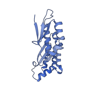 11517_6zxd_x_v1-1
Cryo-EM structure of a late human pre-40S ribosomal subunit - State F1