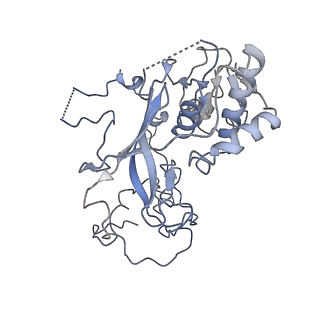 11517_6zxd_y_v1-1
Cryo-EM structure of a late human pre-40S ribosomal subunit - State F1