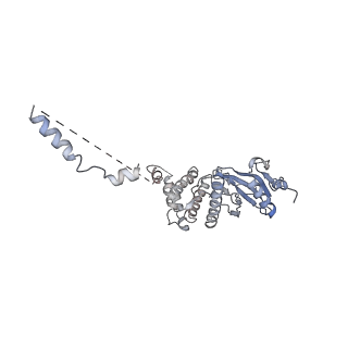11517_6zxd_z_v1-1
Cryo-EM structure of a late human pre-40S ribosomal subunit - State F1
