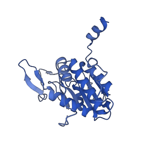 11518_6zxe_A_v1-1
Cryo-EM structure of a late human pre-40S ribosomal subunit - State F2