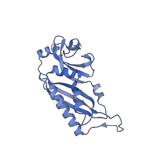 11518_6zxe_B_v1-1
Cryo-EM structure of a late human pre-40S ribosomal subunit - State F2