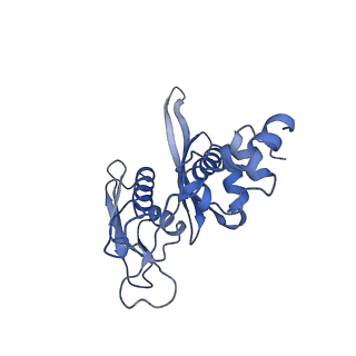 11518_6zxe_C_v1-1
Cryo-EM structure of a late human pre-40S ribosomal subunit - State F2