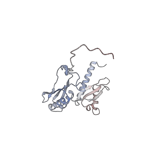 11518_6zxe_D_v1-1
Cryo-EM structure of a late human pre-40S ribosomal subunit - State F2