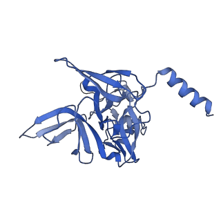 11518_6zxe_E_v1-1
Cryo-EM structure of a late human pre-40S ribosomal subunit - State F2