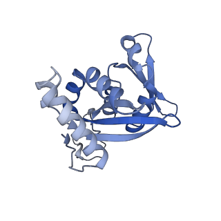 11518_6zxe_H_v1-1
Cryo-EM structure of a late human pre-40S ribosomal subunit - State F2