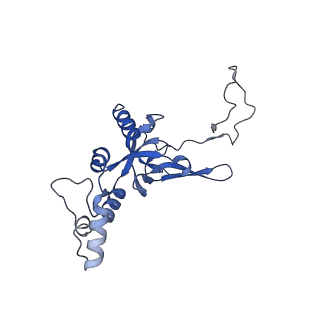 11518_6zxe_I_v1-1
Cryo-EM structure of a late human pre-40S ribosomal subunit - State F2