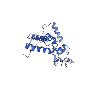 11518_6zxe_J_v1-1
Cryo-EM structure of a late human pre-40S ribosomal subunit - State F2