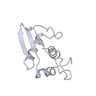 11518_6zxe_K_v1-1
Cryo-EM structure of a late human pre-40S ribosomal subunit - State F2