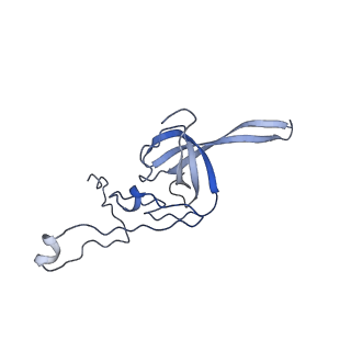 11518_6zxe_L_v1-1
Cryo-EM structure of a late human pre-40S ribosomal subunit - State F2