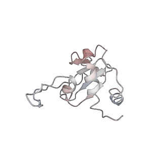 11518_6zxe_M_v1-1
Cryo-EM structure of a late human pre-40S ribosomal subunit - State F2