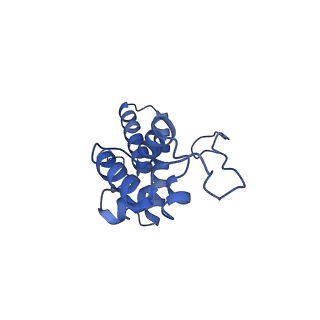 11518_6zxe_N_v1-1
Cryo-EM structure of a late human pre-40S ribosomal subunit - State F2