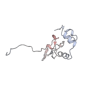 11518_6zxe_P_v1-1
Cryo-EM structure of a late human pre-40S ribosomal subunit - State F2