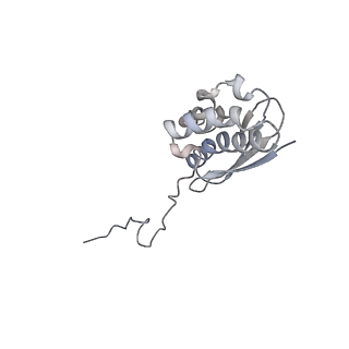 11518_6zxe_Q_v1-1
Cryo-EM structure of a late human pre-40S ribosomal subunit - State F2
