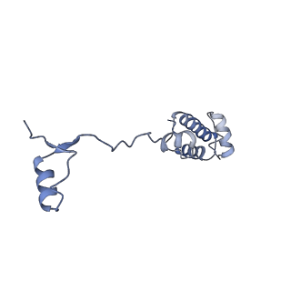11518_6zxe_R_v1-1
Cryo-EM structure of a late human pre-40S ribosomal subunit - State F2
