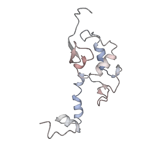 11518_6zxe_S_v1-1
Cryo-EM structure of a late human pre-40S ribosomal subunit - State F2