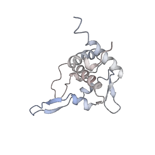 11518_6zxe_T_v1-1
Cryo-EM structure of a late human pre-40S ribosomal subunit - State F2