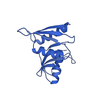 11518_6zxe_W_v1-1
Cryo-EM structure of a late human pre-40S ribosomal subunit - State F2