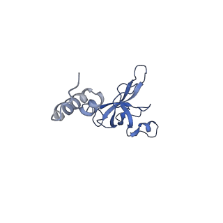 11518_6zxe_X_v1-1
Cryo-EM structure of a late human pre-40S ribosomal subunit - State F2