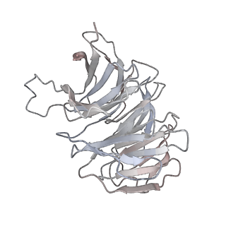 11518_6zxe_g_v1-1
Cryo-EM structure of a late human pre-40S ribosomal subunit - State F2