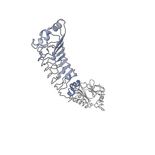 11518_6zxe_k_v1-1
Cryo-EM structure of a late human pre-40S ribosomal subunit - State F2