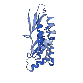 11518_6zxe_x_v1-1
Cryo-EM structure of a late human pre-40S ribosomal subunit - State F2