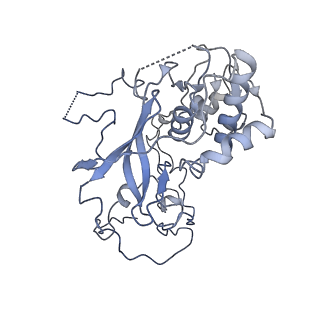11518_6zxe_y_v1-1
Cryo-EM structure of a late human pre-40S ribosomal subunit - State F2
