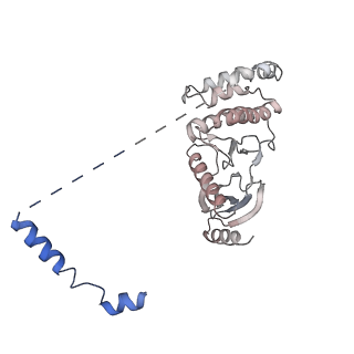 11518_6zxe_z_v1-1
Cryo-EM structure of a late human pre-40S ribosomal subunit - State F2