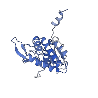 11519_6zxf_A_v1-1
Cryo-EM structure of a late human pre-40S ribosomal subunit - State G