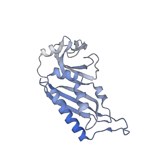 11519_6zxf_B_v1-1
Cryo-EM structure of a late human pre-40S ribosomal subunit - State G