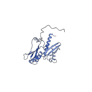 11519_6zxf_D_v1-1
Cryo-EM structure of a late human pre-40S ribosomal subunit - State G