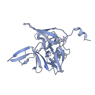 11519_6zxf_E_v1-1
Cryo-EM structure of a late human pre-40S ribosomal subunit - State G