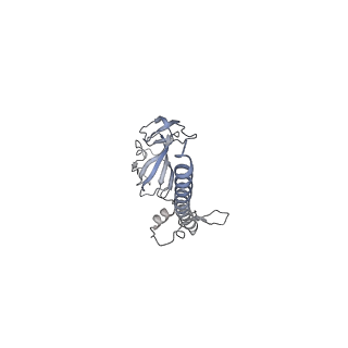 11519_6zxf_G_v1-1
Cryo-EM structure of a late human pre-40S ribosomal subunit - State G
