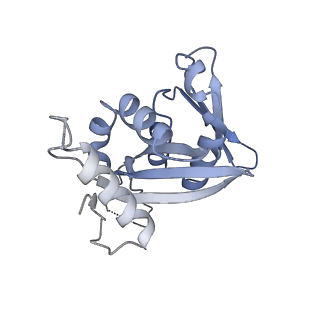 11519_6zxf_H_v1-1
Cryo-EM structure of a late human pre-40S ribosomal subunit - State G