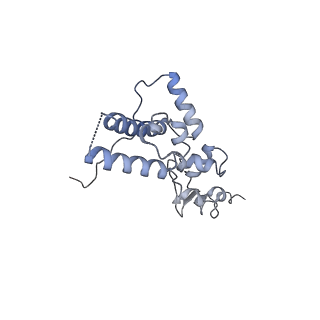 11519_6zxf_J_v1-1
Cryo-EM structure of a late human pre-40S ribosomal subunit - State G