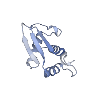 11519_6zxf_K_v1-1
Cryo-EM structure of a late human pre-40S ribosomal subunit - State G