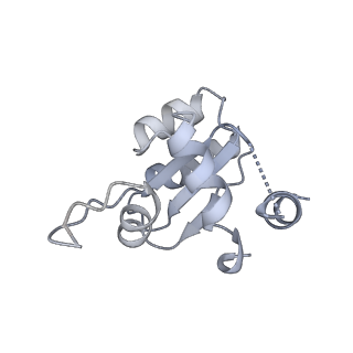 11519_6zxf_M_v1-1
Cryo-EM structure of a late human pre-40S ribosomal subunit - State G