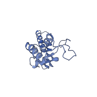 11519_6zxf_N_v1-1
Cryo-EM structure of a late human pre-40S ribosomal subunit - State G