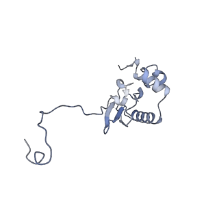 11519_6zxf_P_v1-1
Cryo-EM structure of a late human pre-40S ribosomal subunit - State G