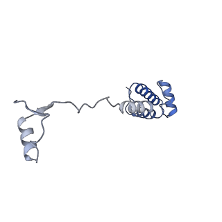 11519_6zxf_R_v1-1
Cryo-EM structure of a late human pre-40S ribosomal subunit - State G