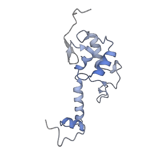 11519_6zxf_S_v1-1
Cryo-EM structure of a late human pre-40S ribosomal subunit - State G