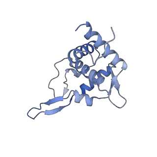 11519_6zxf_T_v1-1
Cryo-EM structure of a late human pre-40S ribosomal subunit - State G
