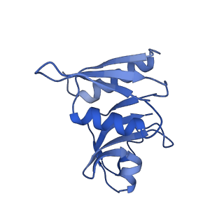 11519_6zxf_W_v1-1
Cryo-EM structure of a late human pre-40S ribosomal subunit - State G