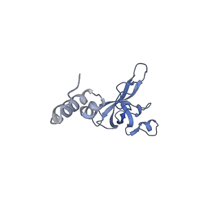 11519_6zxf_X_v1-1
Cryo-EM structure of a late human pre-40S ribosomal subunit - State G