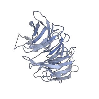 11519_6zxf_g_v1-1
Cryo-EM structure of a late human pre-40S ribosomal subunit - State G
